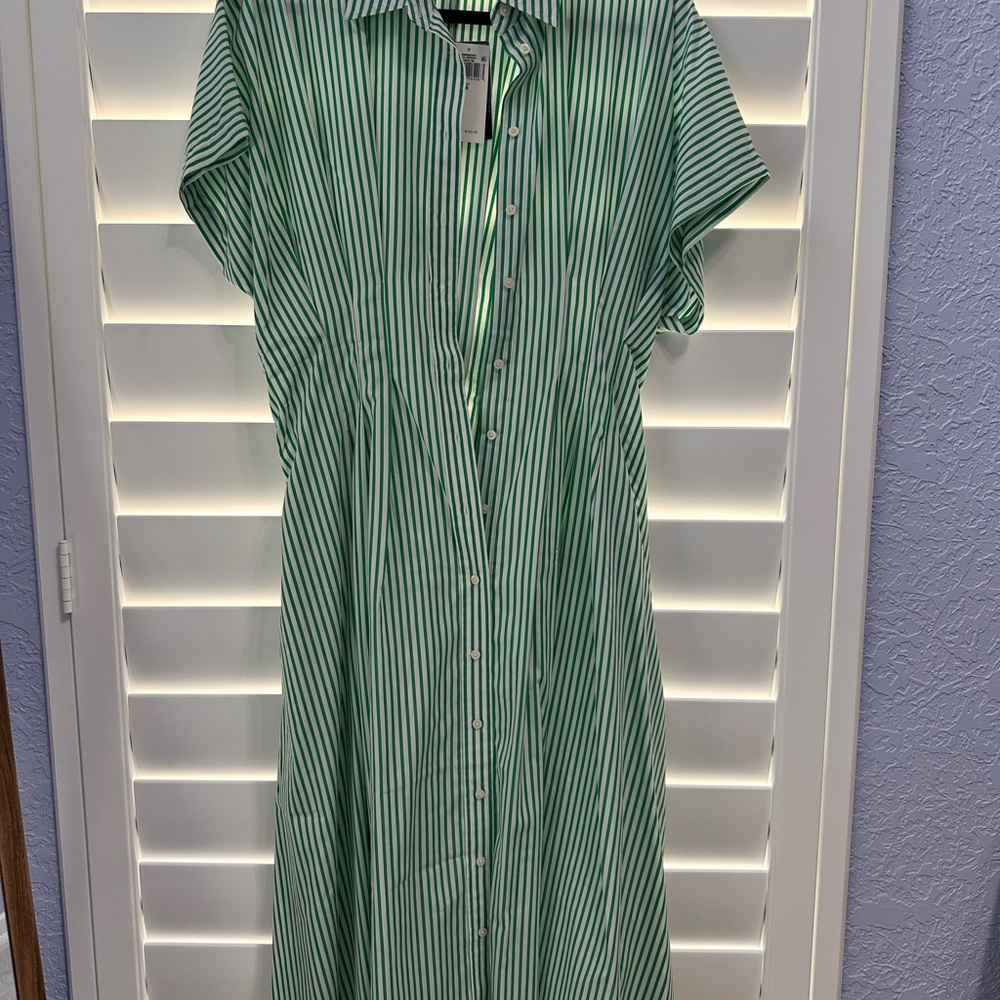 Green Stripe Button-Front Shirt Dress